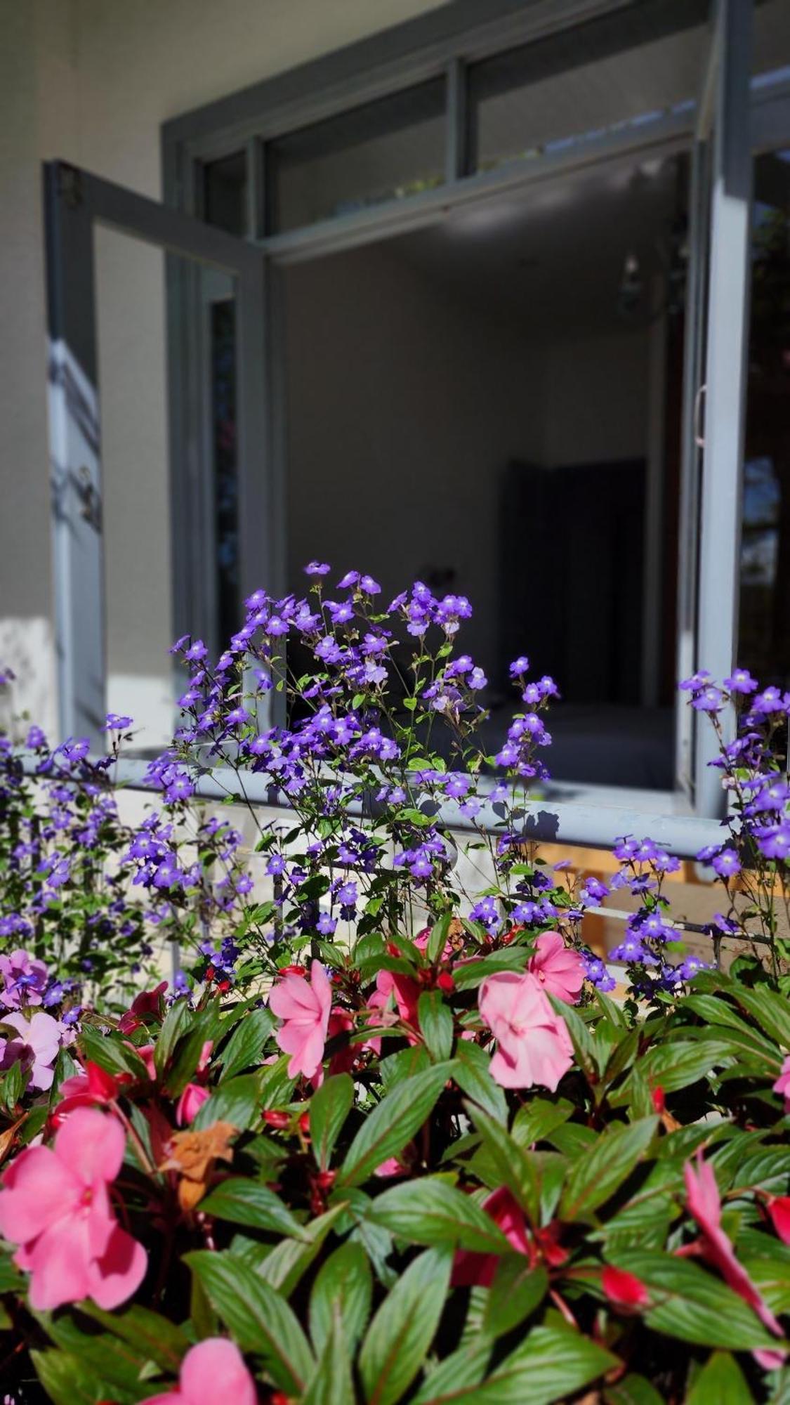 Tia Du Villa Homestay Da Lat Exterior photo